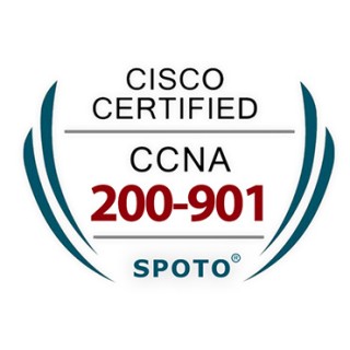 CCNA DevNet Associate 200-901 Exam Dumps