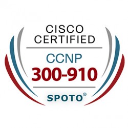 Cisco CCNP DEVNet 300-910 DEVOPS Exam Dumps
