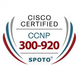 Cisco CCNP DEVNet 300-920 DEVWBX Exam Dumps