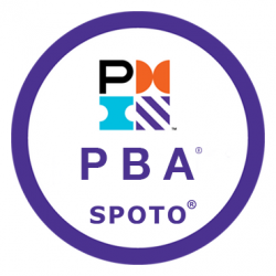 PMI Professional in Business Analysis (PMI-PBA)® Certification Proxy Service