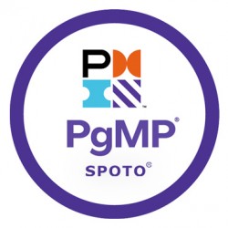 PMI-Program Management Professional (PgMP®) Certification Exam Dumps 2022
