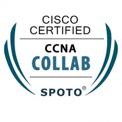 CCNA Collaboration